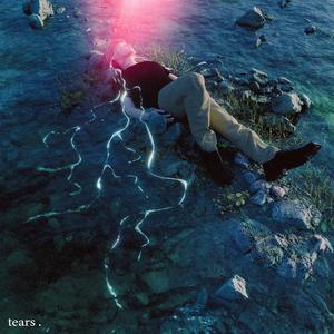 黄视频在线观看免费视频
