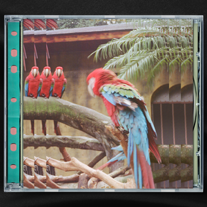 黄视频在线观看免费视频
